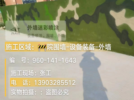 仙桃 迷彩漆喷涂价格（按平方米计费）