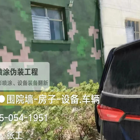 仙桃数码迷彩漆施工